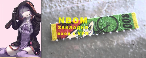 хмурый Михайловск