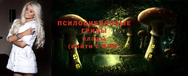 ПСИЛОЦИБИНОВЫЕ ГРИБЫ Наволоки