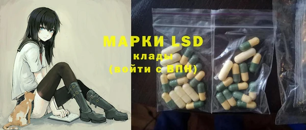 хмурый Михайловск