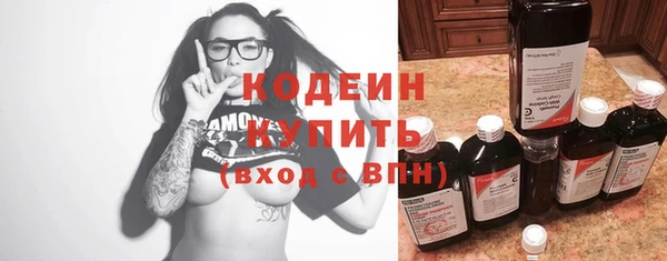 хмурый Михайловск