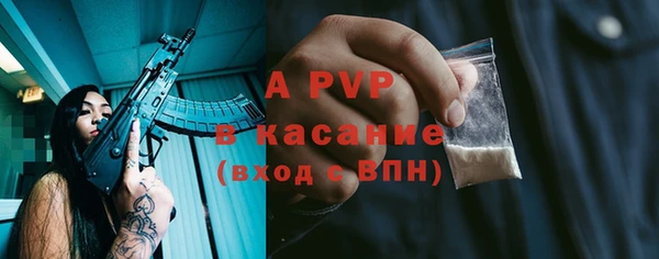 прущие грибы Михайлов