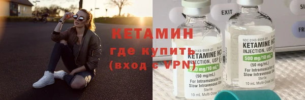 прущие грибы Михайлов