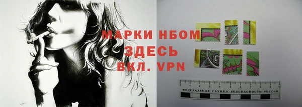 прущие грибы Михайлов
