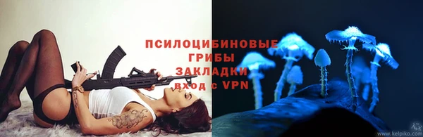 хмурый Михайловск