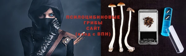 прущие грибы Михайлов
