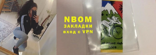 прущие грибы Михайлов
