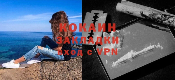 прущие грибы Михайлов