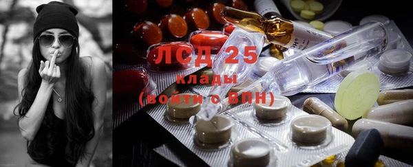 прущие грибы Михайлов