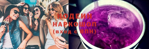 прущие грибы Михайлов
