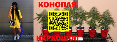МДПВ Апшеронск