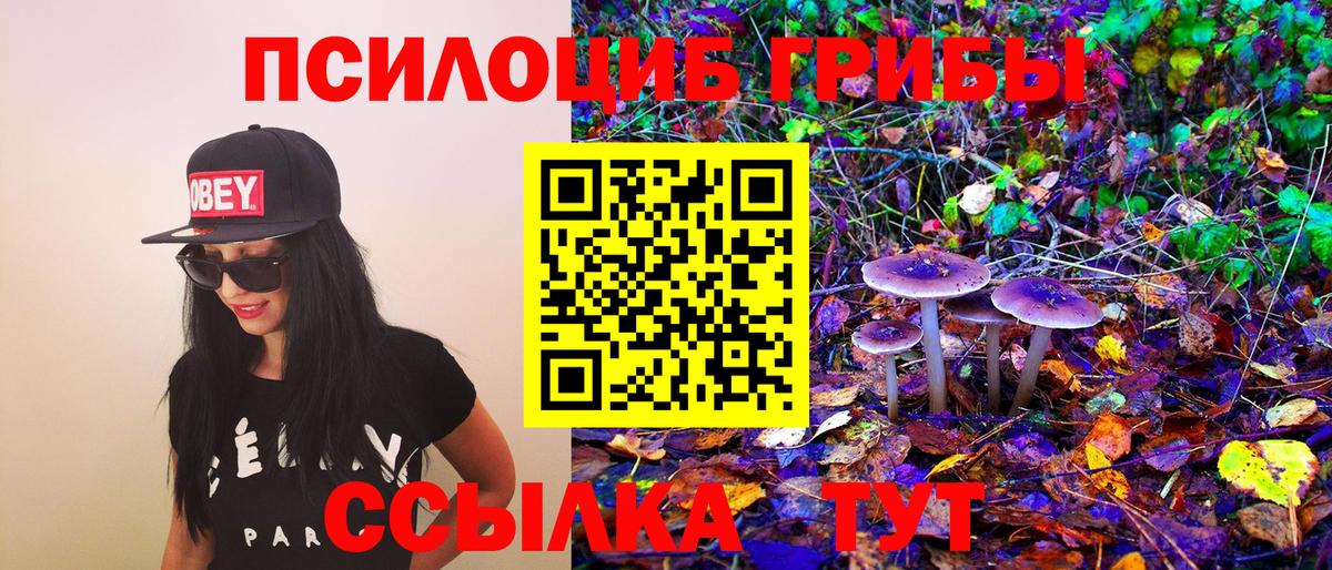 Подольск  Галлюциногенные грибы Cubensis  Галлюциногенные грибы GOLDEN TEACHER  Вход с VPN 